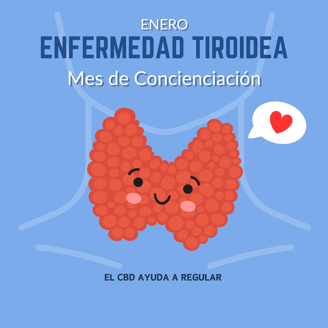 El CBD y su Relación con las Enfermedades de la Tiroides: ¿Puede Ayudar?