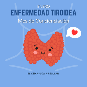 El CBD y su Relación con las Enfermedades de la Tiroides: ¿Puede Ayudar?